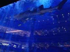 -成都浩海立方海洋公园