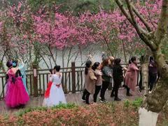 -重庆彩云湖湿地公园