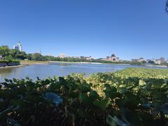 -莲花池公园