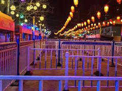 -天津大悲禅院