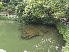 -靖西鹅泉风景区