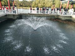 -长春市南湖公园