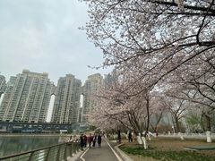-西北湖绿化广场