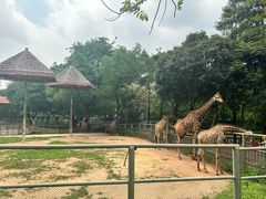 -深圳野生动物园