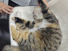 -老周炒拨拉(甘州总店)