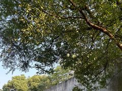 -中国湿地博物馆