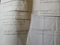 -纳吉亚猫专科动物诊疗中心(蒋宅口分院)