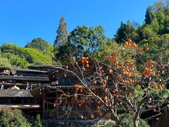 -林坑古村落