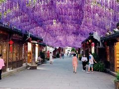 -婺源梦里老家大型山水实景演出