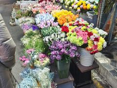 -循礼门鲜花花市(武汉循礼门店)