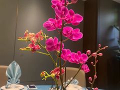 -广州酒家(中华广场店)