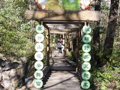 -大岭沟猕猴桃谷风景区