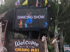 -清迈夜间动物园