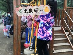 -东湖落雁景区