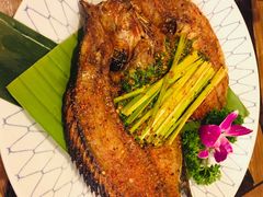 -紫滇源云南生态菜(丹凤街店)