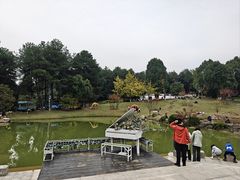 -铁山坪森林公园