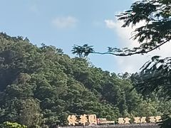 -中山市绿华园食府