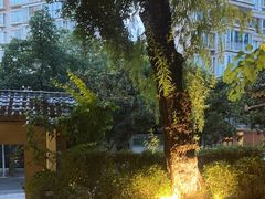 -大妙火锅·非物质文化遗产(东湖公园店)