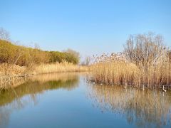 -上海吴淞炮台湾国家湿地公园
