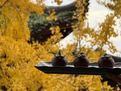 -奇芳阁·百年清真南京菜(夫子庙店)