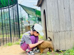 -前小桔亲子创意农场·草莓采摘·露营烧烤