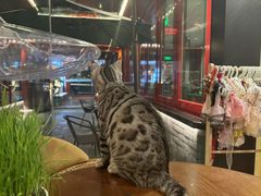 -府学·秋果S酒店(北京南锣鼓巷四合院店)