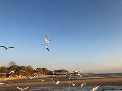 -老虎石海上公园