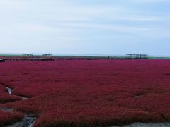 -红海滩国家风景廊道