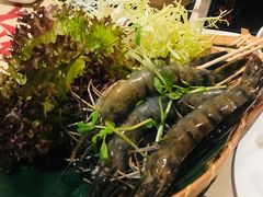 -大红袍火锅料理(尖沙咀店)