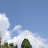 春天来了，吉祥如意报到