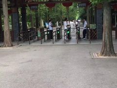 -东平国家森林公园
