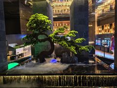 -御养源·影院式足道·按摩SPA·星级自助餐(青秀店)