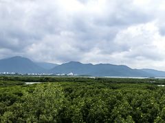 -盐洲岛