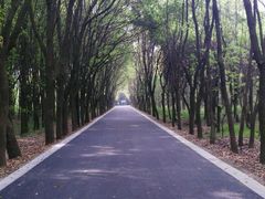 -同里国家湿地公园
