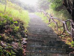 -梧桐山风景名胜区