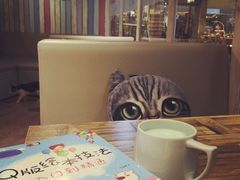 -小时光咖啡馆(开森度假森林店)