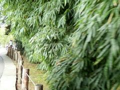 -贵阳市花溪国家城市湿地公园