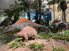 -湖南省地质博物馆