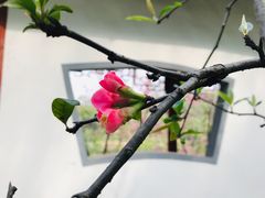 -重庆彩云湖湿地公园