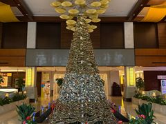 -张家港金凤凰度假村温泉