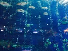 -成都浩海立方海洋公园