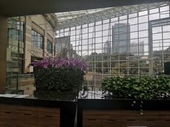 -上海外滩茂悦大酒店