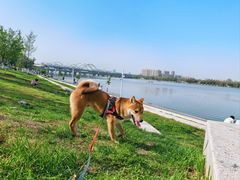 -华夏文旅西安度假区