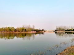 -大兴滨河森林公园