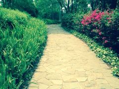 iphone_upload_pic-狐尾山公园