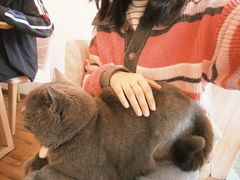 -春笙食堂.丼饭拉面寿司(GOGO新天地店)