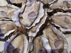 -千岛蚝高压锅生蚝·人参火锅(白云万达店)