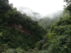 -龙窝子