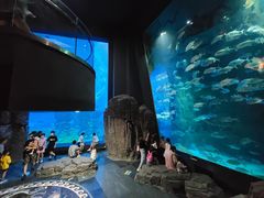 -成都浩海立方海洋公园