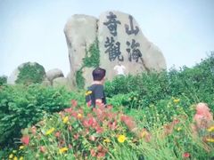 -枸杞岛